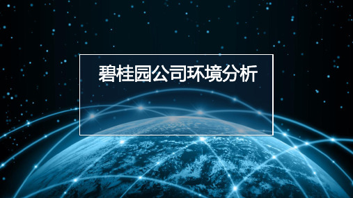 碧桂园市场营销分析