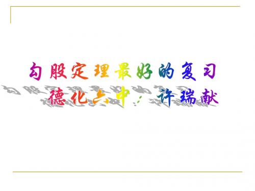 最全面最好的勾股定理复习课课件 2