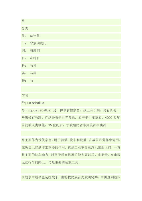 马的资料