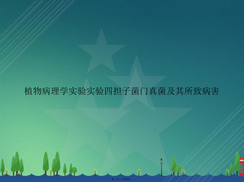 植物病理学实验实验四担子菌门真菌及其所致病害讲课文档