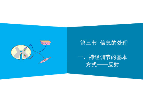 冀少版七年级下册生物《信息的处理》第一课时课件(共21页)