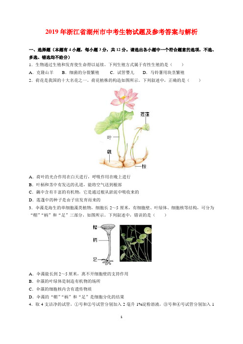2019年浙江省湖州市中考生物试题及参考答案(word解析版)