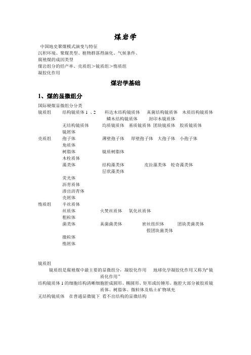 学习笔记 煤岩学..