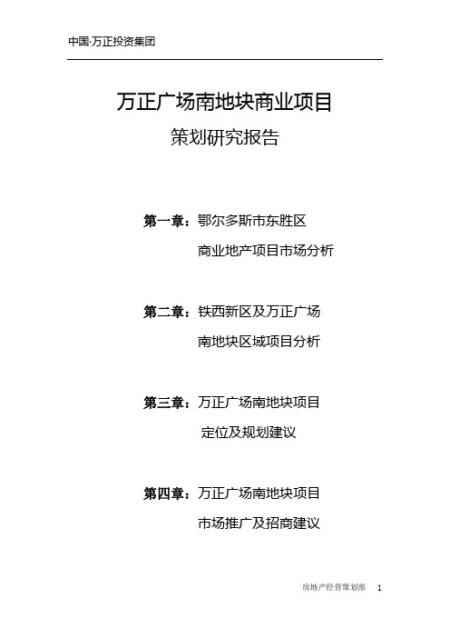 万正广场南地块商业商务项目策划研究报告