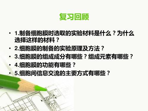 3-2 细胞器—系统内的分工合作1