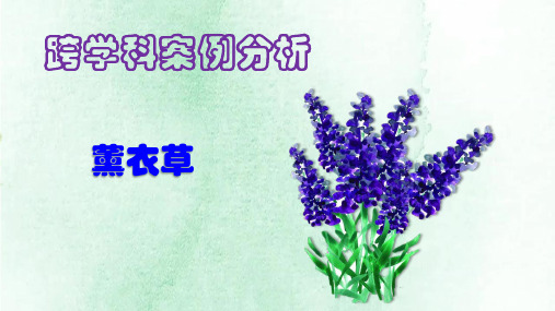 跨学科案例分析 气候与生态旅游 2023徐汇区 薰衣草