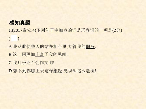 泰安中考语文专题四 语法知识