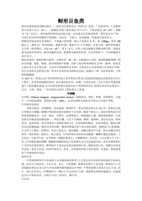 鲟鱼养殖