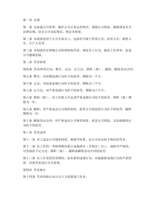 公司管理制度罚责