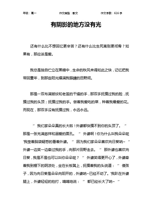 有阴影的地方没有光作文【高中高一600字】