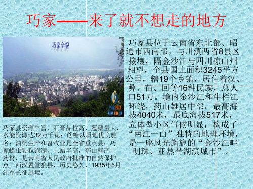 巧家