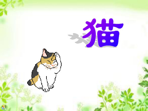 四年级上册语文《猫》 (共13张PPT)