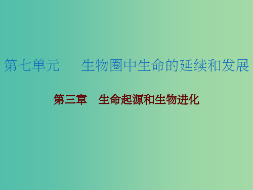 中考生物总复习 第七单元 第三章 生命起源和生物进化