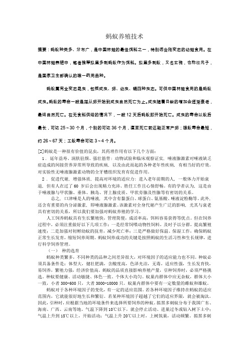 蚂蚁论文