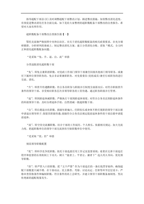 2020年超职数配备干部整改自查报告精选