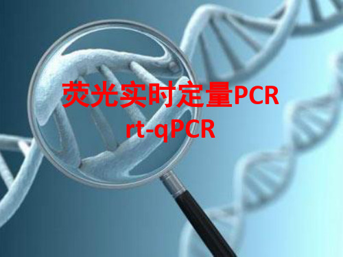 rt-qPCR实验操作