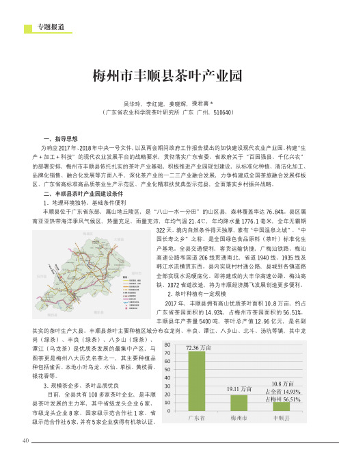 梅州市丰顺县茶叶产业园