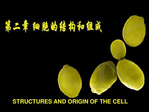 细胞生物学 第二章 细胞的结构与组成