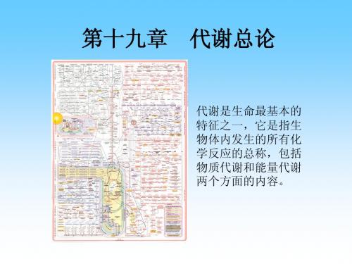 19生化