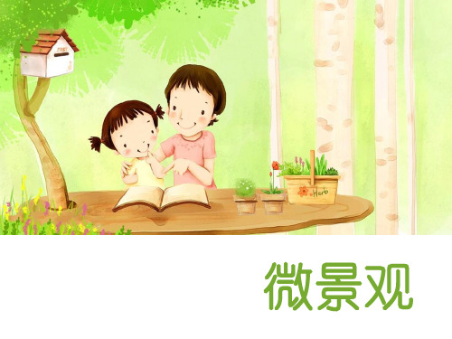 微景观PPT课件