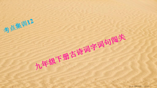 中考考点集训课件：九年级下册古诗词字词句闯关(共21张ppt)