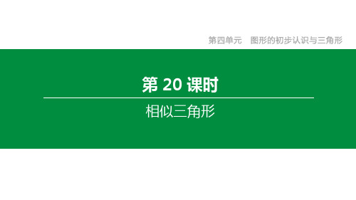 2020年数学中考专题复习：第20课时 相似三角形