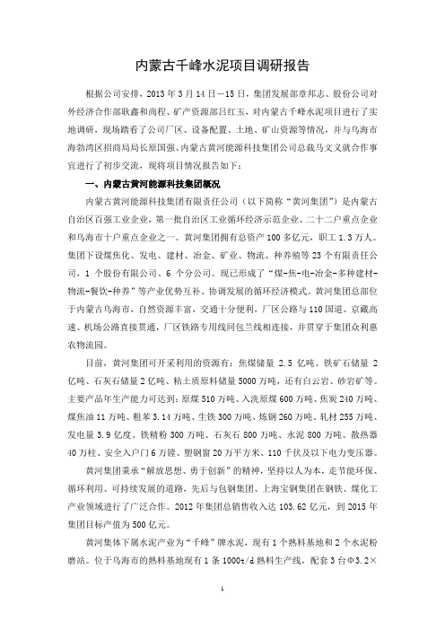 内蒙古千峰水泥项目调研报告
