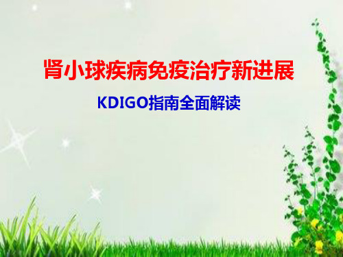 肾小球疾病免疫治疗新进展KDIGO指南全面解读