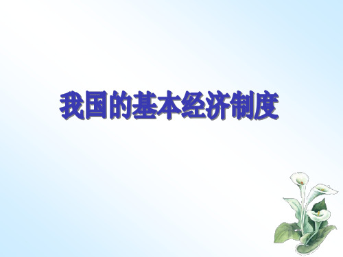 人教版高中政治必修1《我国的基本经济制度》ppt课件