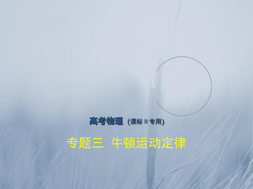 2018年高考物理课标Ⅱ专用复习专题测试专题三 牛顿运动定律 共83张 精品