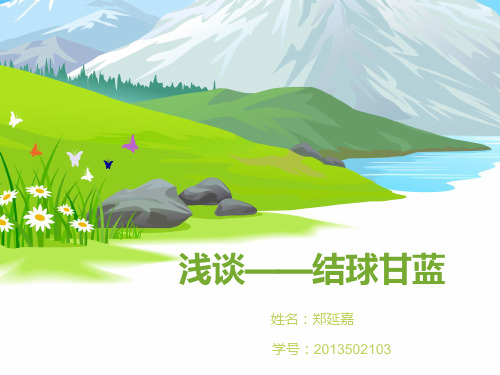 浅谈——结球甘蓝