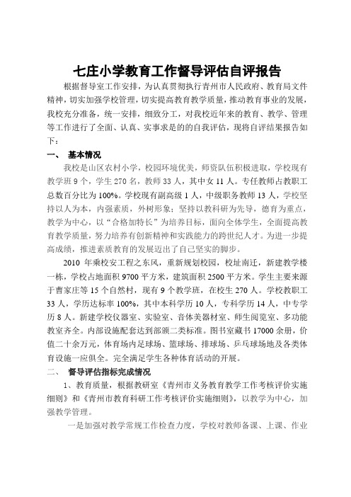 2014督导自评报告