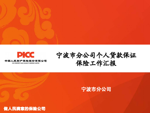 宁波个贷险汇报材料