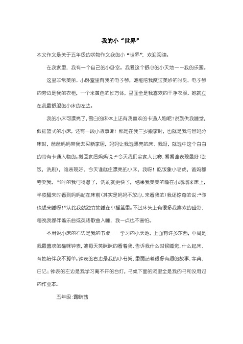 小学五年级状物作文：我的小“世界”