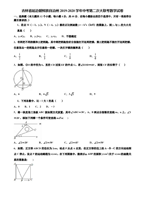 吉林省延边朝鲜族自治州2019-2020学年中考第二次大联考数学试卷含解析
