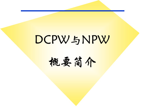 NPW,TPM概述