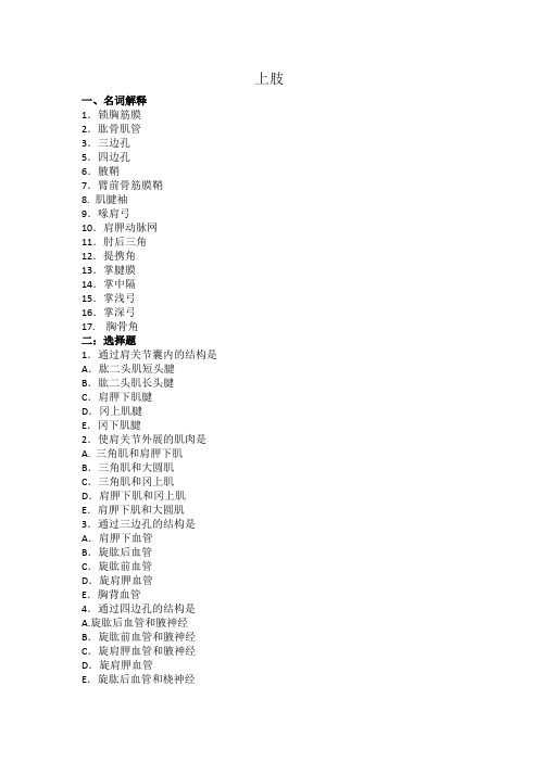 局部解剖学练习题 上肢