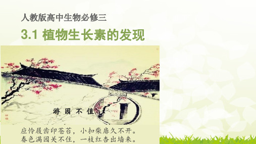 人教版《植物生长素》优秀PPT1