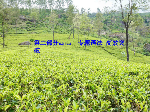 中考英语 第二部分 专题语法 高效突破 专项7 形容词课件_1