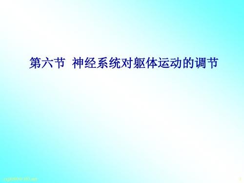 第九章 神经系统(四)