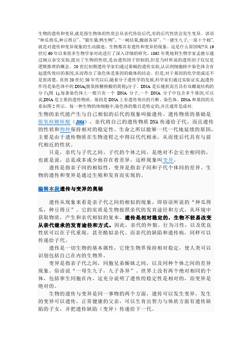生物的遗传和变异