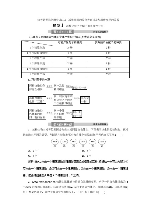 2021版浙江新高考选考生物一轮复习(二) 减数分裂的综合考查以及与遗传变异的关系 