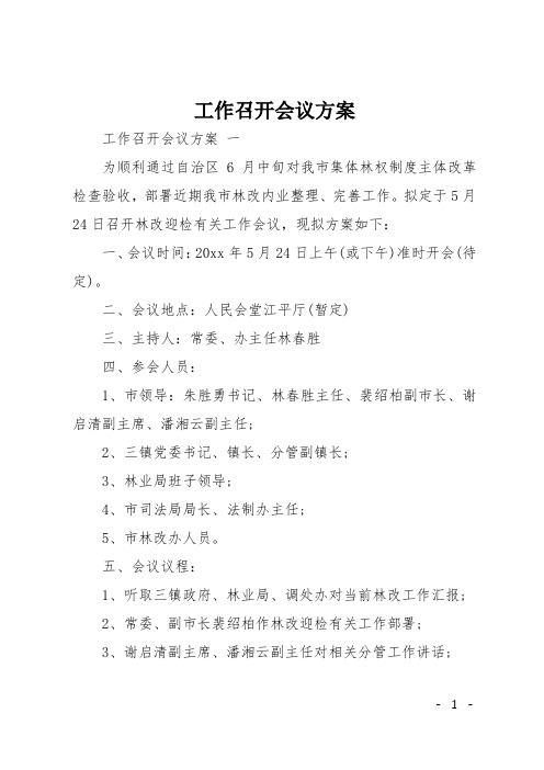 工作召开会议方案