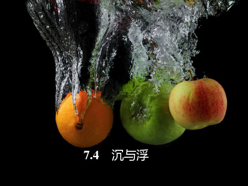10.4 沉与浮 物体沉浮的条件 教科版人教版八年级物理下册PPT