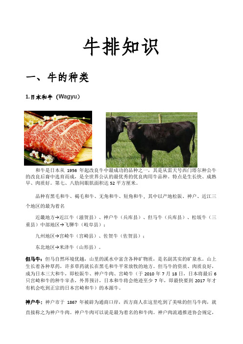 牛排知识讲解