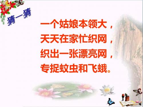 一年级语文下册第13课蜘蛛织网 PPT精品课件西师大版