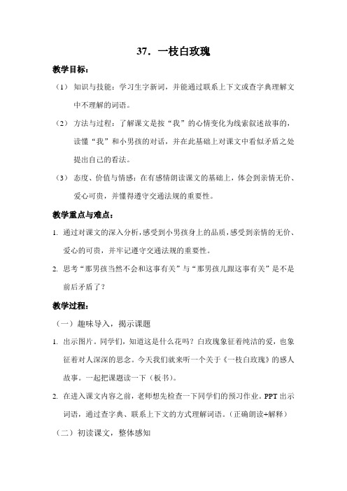 一枝白玫瑰