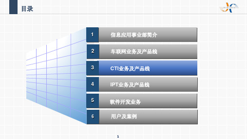CTI产品线及业务