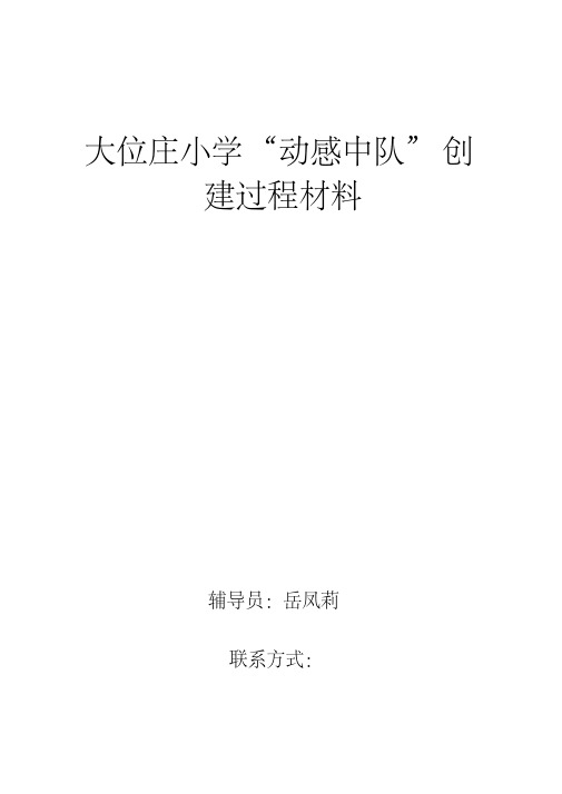 大位庄小学动感中队材料