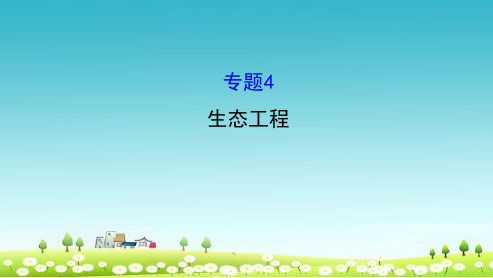 2019-2020学年度最新高考生物一轮复习专题4生态工程课件新人教版选修3-精品PPT推荐